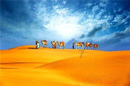 你所在的学校有哪些奇葩的制度守则？游戏画面