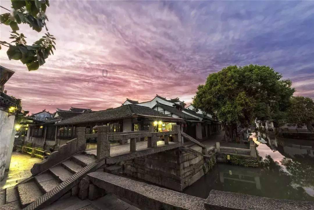 敏捷的白球