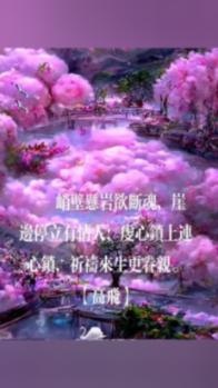 奇点灰烬